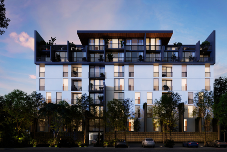 thumbnails limon (2)