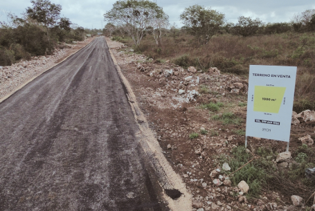 thumbnails limon (3)